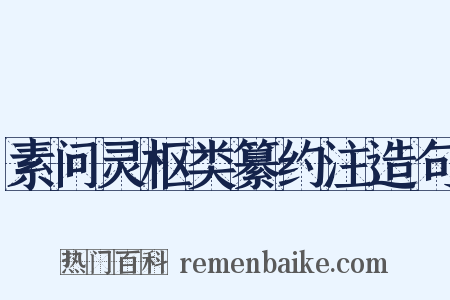 素问灵枢类纂约注造句是什么意思的图片